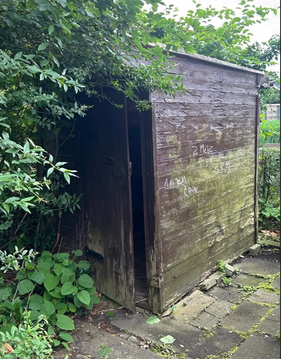 Alter, vermooster Gartenschuppen vor der Sanierung durch Hauszeit E&B